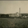 Dymokury 1929